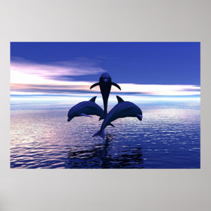 Early Morning Dolphins Poster