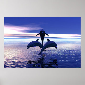 Early Morning Dolphins Poster