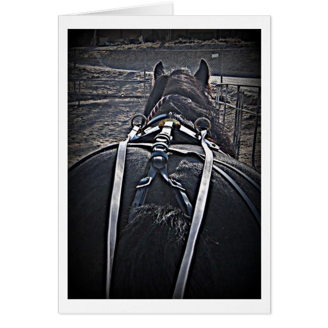 Early Morning Drive (Voorkant)