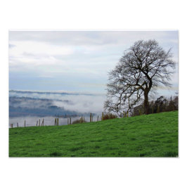 Early Morning Fog Foto Afdruk