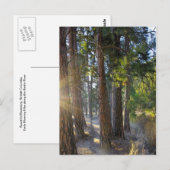 Early Morning Hike Briefkaart (Voorkant / Achterkant)
