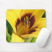 Early Morning Muismat (Met muis)