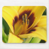 Early Morning Muismat (Voorkant)