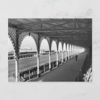 Early Morning Stroll Briefkaart