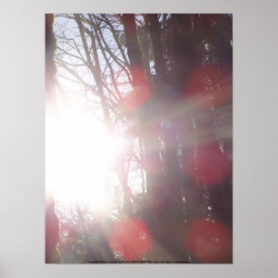 Early Morning Sun Rays #28 Poster