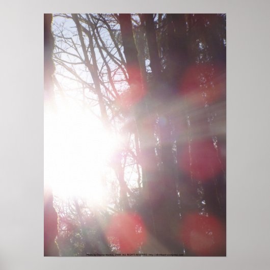 Early Morning Sun Rays #28 Poster (Voorkant)