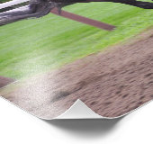 Early Morning Workouts bij Saratoga Foto Afdruk (Hoek)