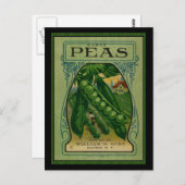 Early Peas  Seed Packet Briefkaart (Voorkant / Achterkant)