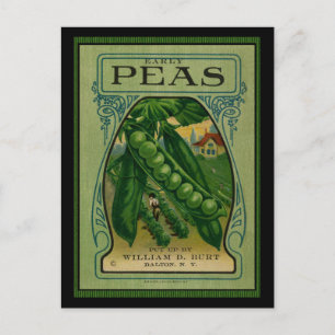 Early Peas  Seed Packet Briefkaart