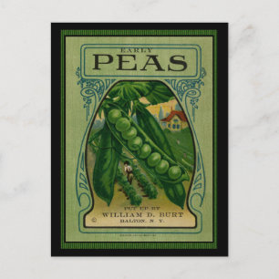 Early Peas  Seed Packet Briefkaart