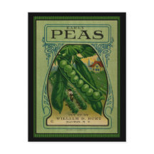 Early Peas  Seed Packet