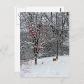 Early Snow: Corgi Postcard Briefkaart (Voorkant / Achterkant)