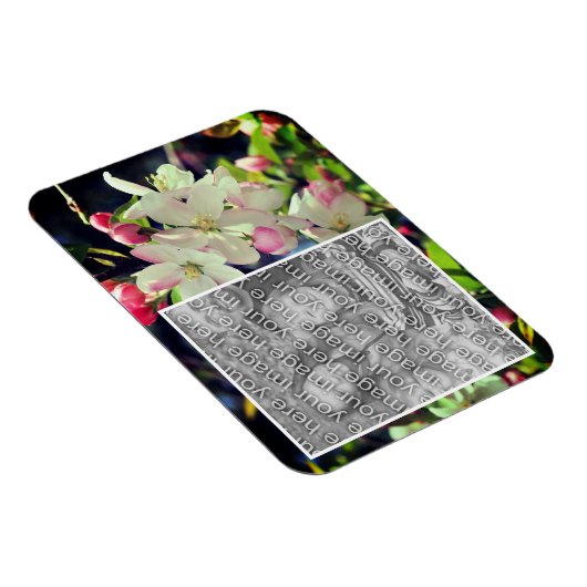 Early Spring Blossoms Lijst Uw foto toevoegen Magneet (Rechterzijde)