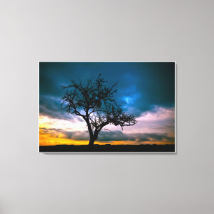 Early Spring Sunset Blue Sky waterkleur Schilderen Canvas Afdruk