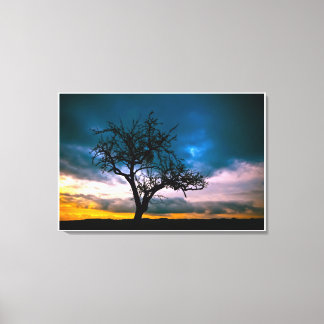 Early Spring Sunset Blue Sky waterkleur Schilderen Canvas Afdruk