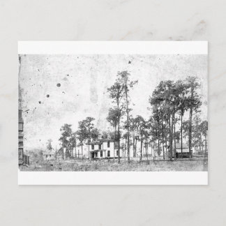 Early years, Mount Dora, FL Briefkaart