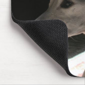 Ears Up, foto Muismat (Hoek)