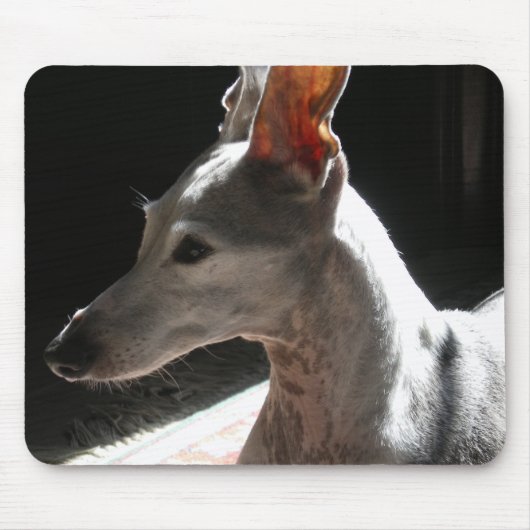 Ears Up, foto Muismat (Voorkant)
