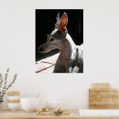 Ears Up, foto Poster (Keuken)