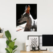 Ears Up, foto Poster (Thuiskantoor)