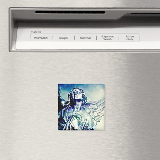 Earth Angel Magneet (Insitu (Vaatwasser))