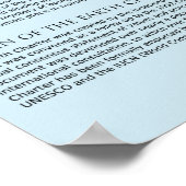 Earth Charter Poster - 22x31 Semi-Gloss (Hoek)