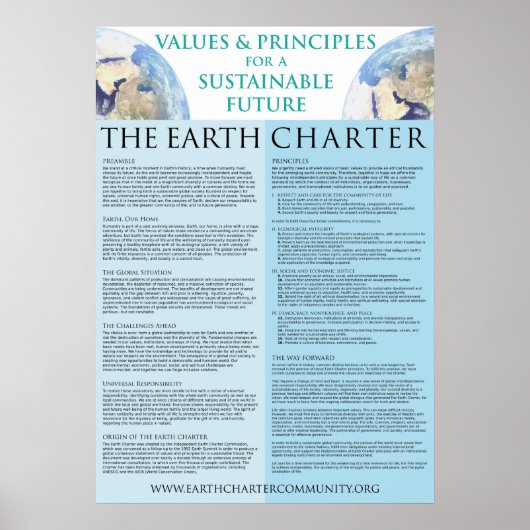 Earth Charter Poster - 22x31 Semi-Gloss (Voorkant)