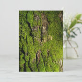 Earth Day Celebration, Editable Text (Staand voorkant)