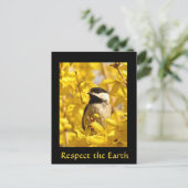 Earth Day Chickadee Bird Flowers Briefkaart (Staand voorkant)
