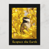Earth Day Chickadee Bird Flowers Briefkaart (Voorkant)