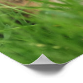 Earth Day Chipmunk Poster (Hoek)