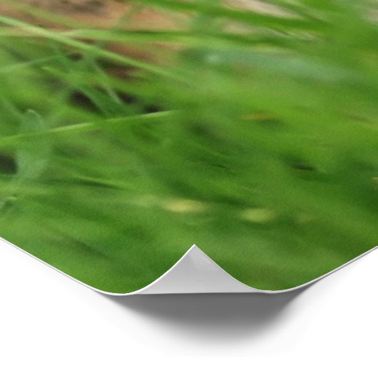 Earth Day Chipmunk Poster (Hoek)