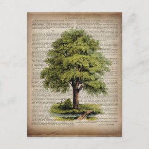 Earth Day ECO woordenboek print  eikenboom Briefkaart