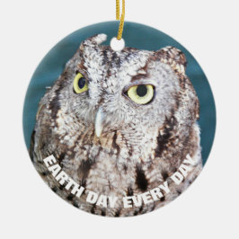 Earth Day Elke dag een Westerne Screech Uil Keramisch Ornament