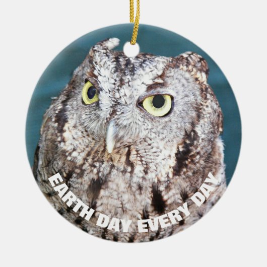 Earth Day Elke dag een Westerne Screech Uil Keramisch Ornament (Voorkant)