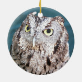 Earth Day Elke dag een Westerne Screech Uil Keramisch Ornament (Achterkant)