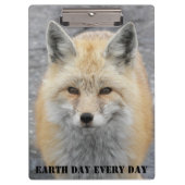 Earth Day Elke Dag Red Fox Wildlife Foto Klembord (Voorkant)