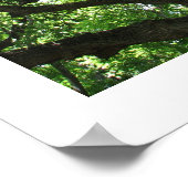 Earth Day Plant-A-Boom Poster (Hoek)