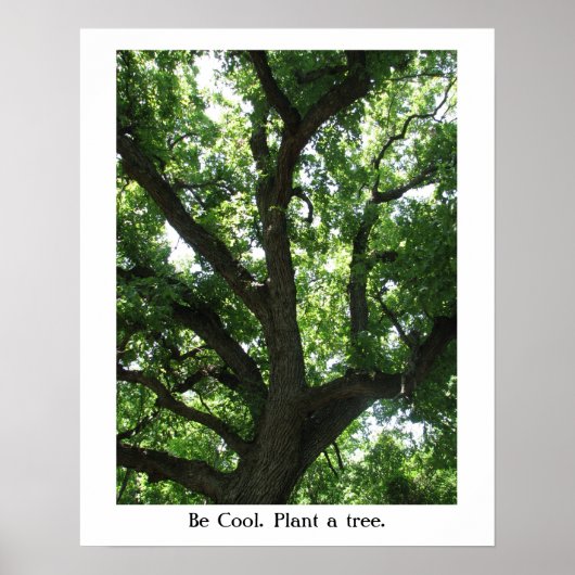 Earth Day Plant-A-Boom Poster (Voorkant)