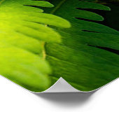 Earth Day poster (Hoek)