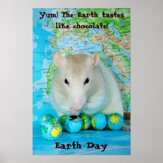 Earth Day Poster (Voorkant)