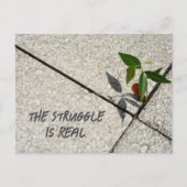 Earth Day the Struggle is een echte boomzaailing Briefkaart (Voorkant)