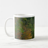 Earth Day Waterfall-Mok Koffiemok (Links)