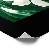 Earth Drake Poster (Hoek)