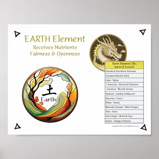 Earth Element Acupuncture Poster (Voorkant)