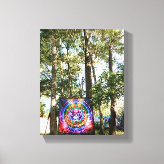 Earth Freq 2011: Kunst- en decor-omhuld canvas Afdruk (Voorkant)