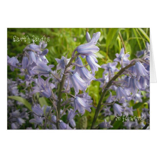 Earth Laughs in Flowers - Blanco kaart (Voorkant Horizontaal)
