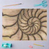 Earth Nautilus Tissuepapier (Craft)