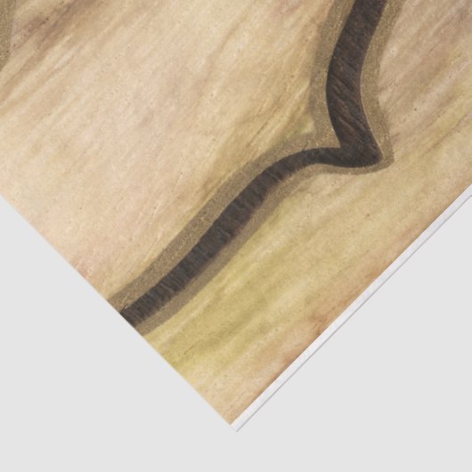 Earth Nautilus Tissuepapier (Detail)