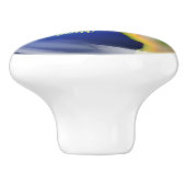 Earth Planet World Design Ceramic Knop (Zijkant)